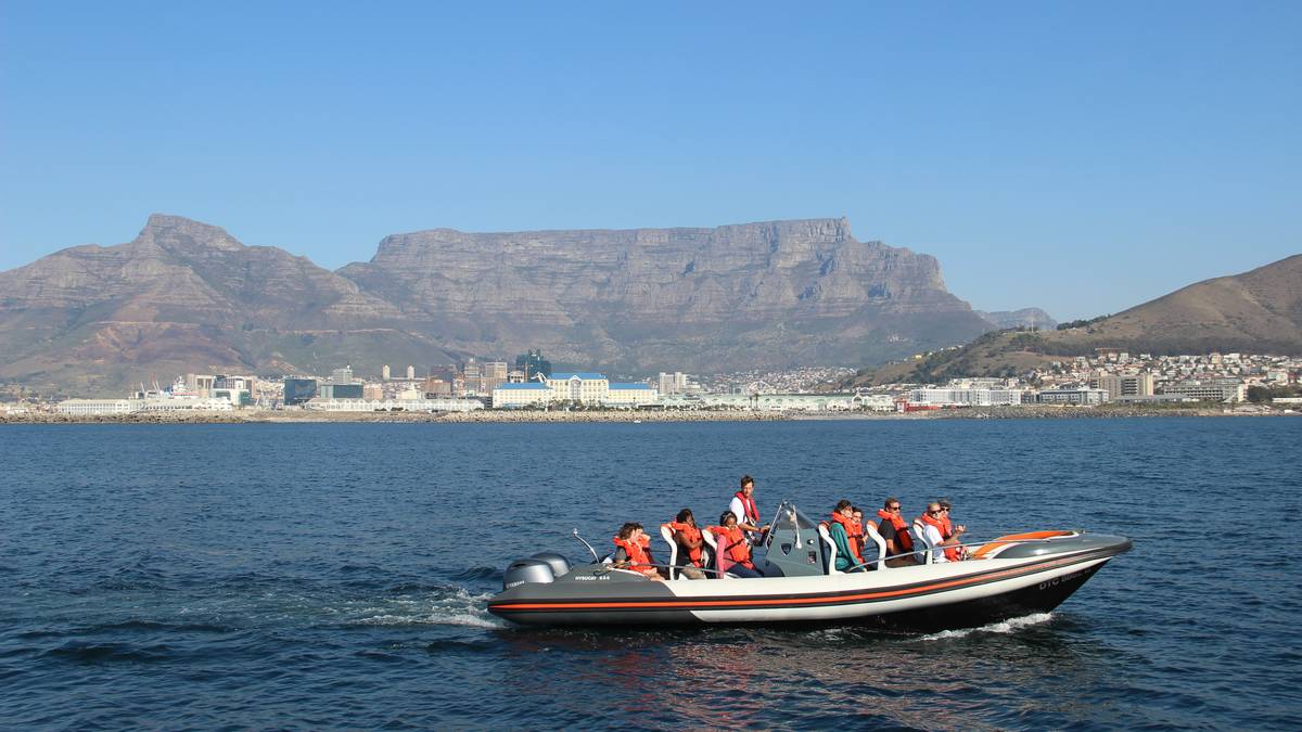 Marine Eco Tour in der Waterfront, Kapstadt