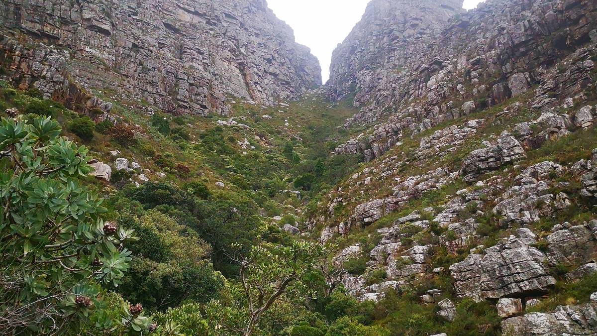 Wanderung zum Tafelberg (über Platteklip)